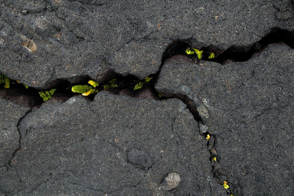 test gallup - gabriela milfortova