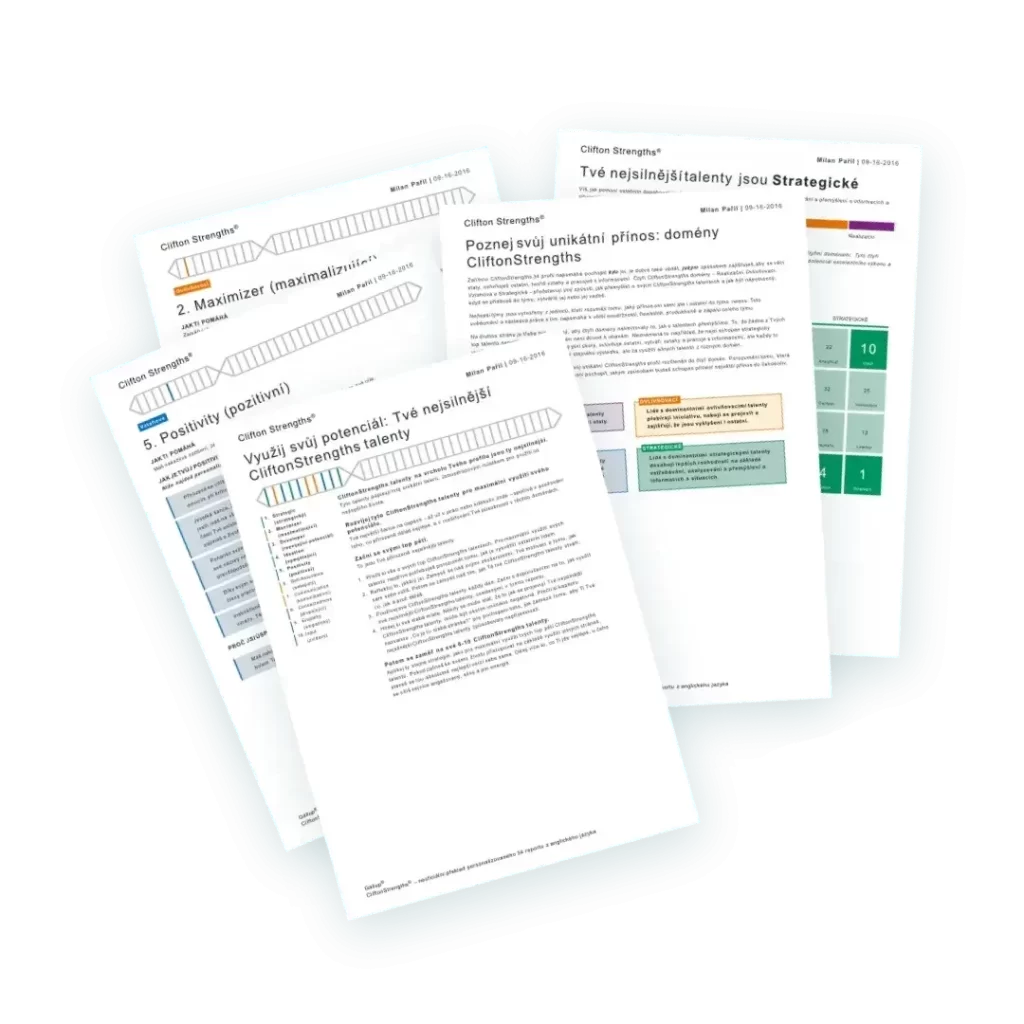 Test silných stránek a osobních hodnot Ikigai Gallup test