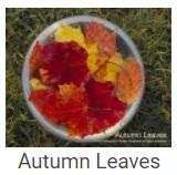 Australské essence - Autumn Leaves